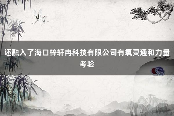 还融入了海口梓轩冉科技有限公司有氧灵通和力量考验